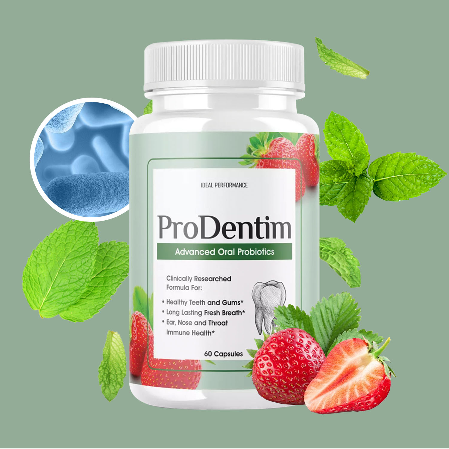 Digestive Enzyme Blend - 고급 구강 프로바이오틱스 - 입냄새 제거,