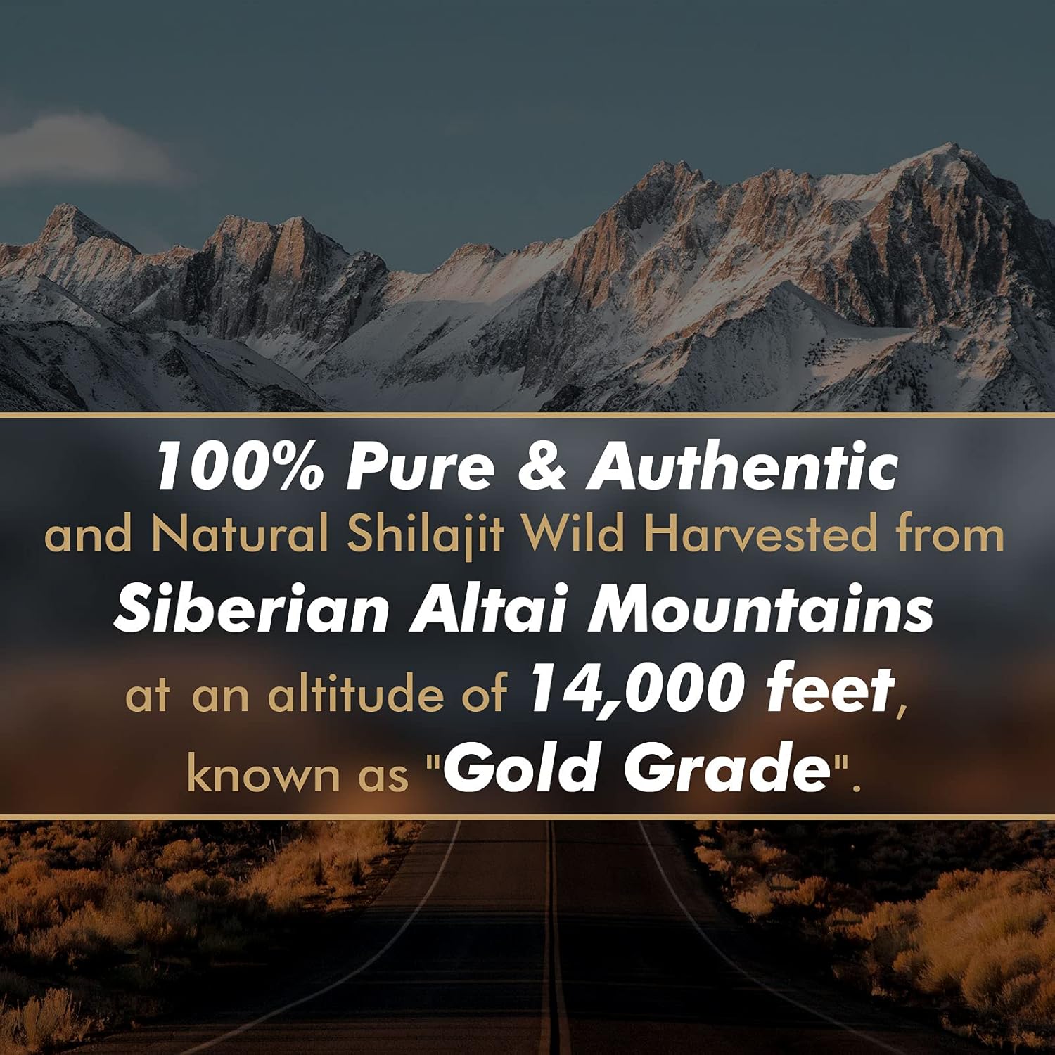 오리지널 순수 시라짓 레진 (풀빅산, 미량 미네랄, 8 - Shilajit Resin Pure 리뷰 및 가격