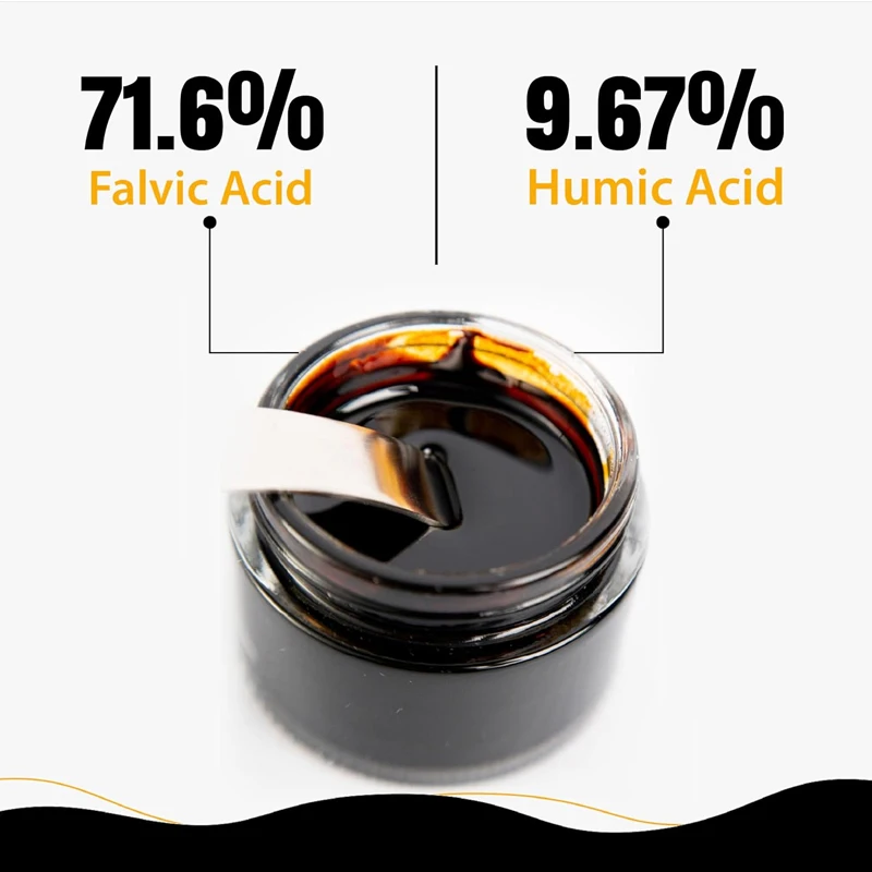 순수 히말라야 시라짓 레진, 자연 건조 및 금 등급,  - Shilajit Resin Pure 리뷰 및 가격