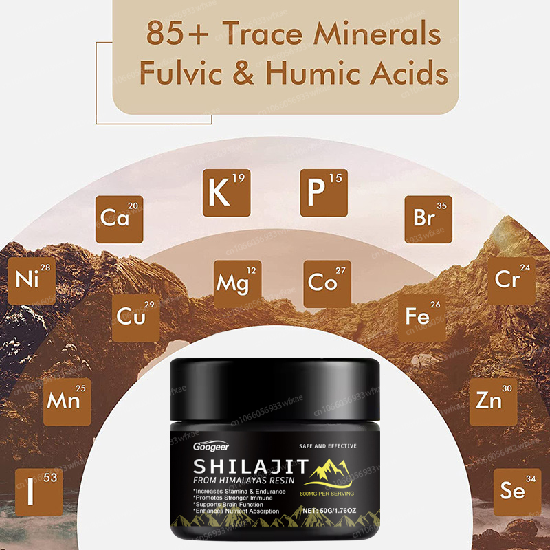 50g 실라짓 레진 - 전반적인 건강 증진 - 면역력, - Shilajit Resin Pure 리뷰 및 가격