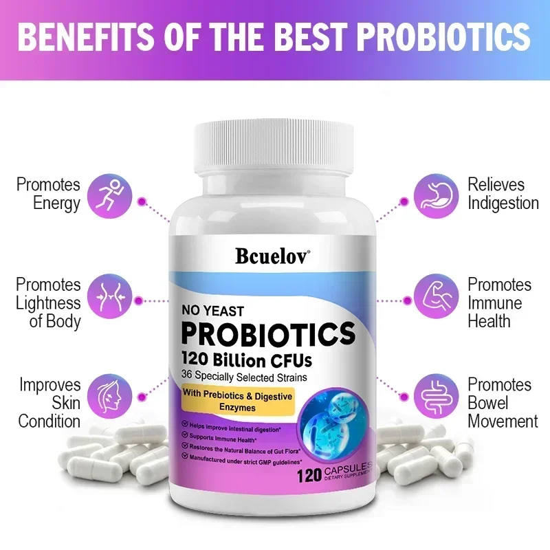 소화 건강 프로바이오틱스 1200억 CFU 프리바이오틱 - Digestive Enzyme Blend 리뷰 및 가격