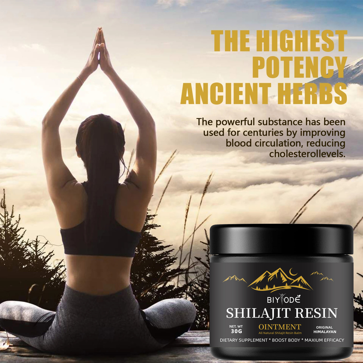 600MG 순수 프리미엄 히말라야 시라짓 레진 30G  - Shilajit Resin Pure 리뷰 및 가격
